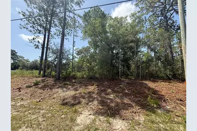 7069 N Santos Drive, Citrus Springs, FL 34434 - Photo 5