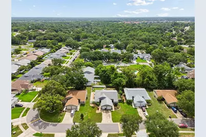 341 Hibiscus Drive, Palm Harbor, FL 34684 - Photo 35