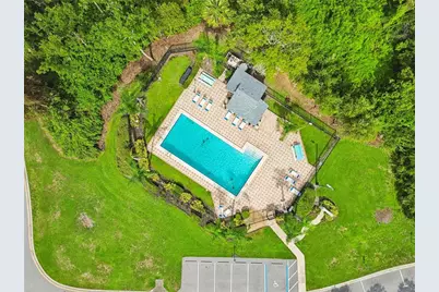 341 Hibiscus Drive, Palm Harbor, FL 34684 - Photo 39