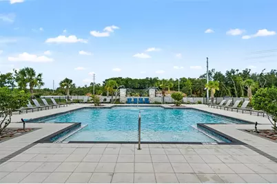 26069 Woven Wicker Bend, Lutz, FL 33559 - Photo 55