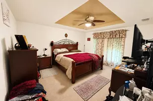 9305 Mandrake Ct, Tampa, FL 33647 - Photo 9