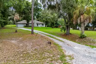 615 Thompson Rd, Lithia, FL 33547 - Photo 45