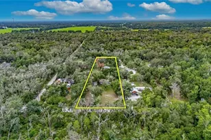615 Thompson Rd, Lithia, FL 33547 - Photo 49