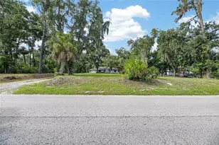 615 Thompson Rd, Lithia, FL 33547 - Photo 47