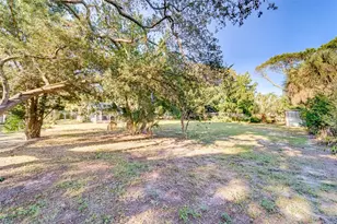 10802 Mohawk Rd, Saint Petersburg, FL 33708 - Photo 39