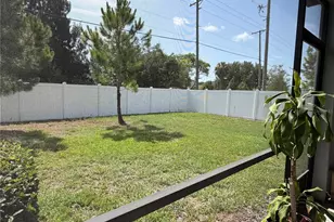 4503 Globe Thistle Dr, Tampa, FL 33619 - Photo 19