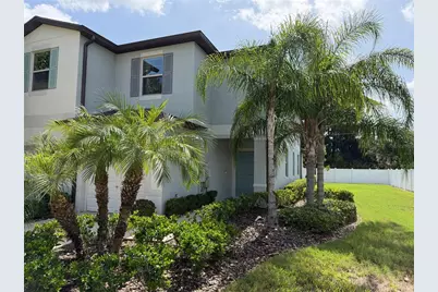 4503 Globe Thistle Drive, Tampa, FL 33619 - Photo 3