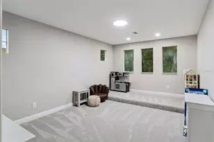 27722 Indigo Pond Ct, Wesley Chapel, FL 33544 - Photo 35