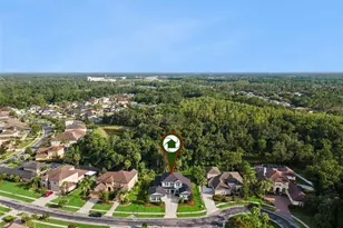 27722 Indigo Pond Ct, Wesley Chapel, FL 33544 - Photo 61