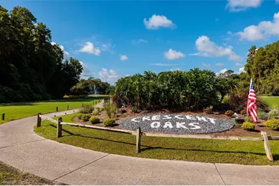 1338 Dartford Drive, Tarpon Springs, FL 34688 - Photo 83