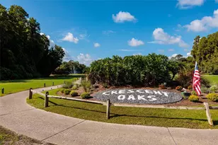 1338 Dartford Dr, Tarpon Springs, FL 34688 - Photo 83