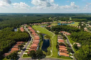 1338 Dartford Dr, Tarpon Springs, FL 34688 - Photo 65