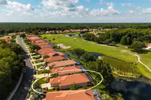 1338 Dartford Dr, Tarpon Springs, FL 34688 - Photo 57