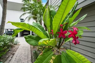19930 Gulf Blvd, Indian Shores, FL 33785 - Photo 55