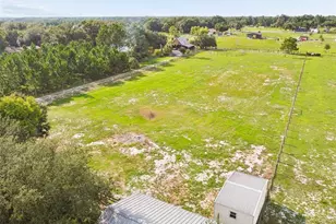 336 Corbett Rd, Lithia, FL 33547 - Photo 41