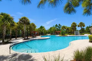 15406 Feather Star Pl, Ruskin, FL 33573 - Photo 37