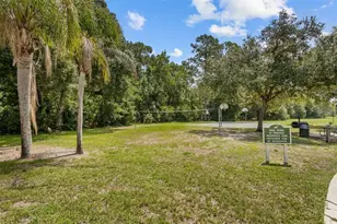4305 Gentrice Dr, Valrico, FL 33596 - Photo 33