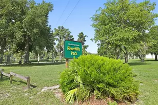 704 E River Dr, Tampa, FL 33617 - Photo 43