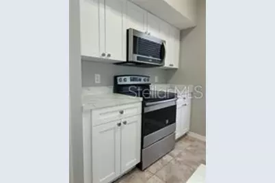 9732 Lake Chase Island Way #9732, Tampa, FL 33626 - Photo 5