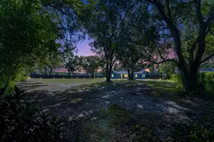 21149 Little Lake Thomas Rd, Land O Lakes, FL 34638 - Photo 3