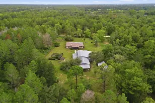 14499 Sandy Dr, Brooksville, FL 34613 - Photo 33