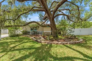 670 Sparrow Ave, Palm Harbor, FL 34683 - Photo 3