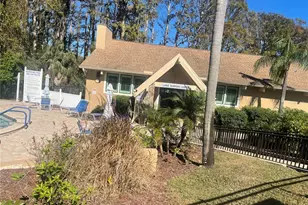 133 Stafford Cir, Palm Harbor, FL 34684 - Photo 47