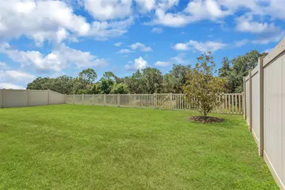3142 Marine Grass Drive, Wimauma, FL 33598 - Photo 29