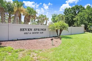 9247 Golf View Dr, New Port Richey, FL 34655 - Photo 43
