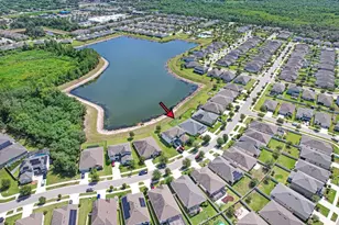11520 Blue Woods Dr, Riverview, FL 33569 - Photo 41