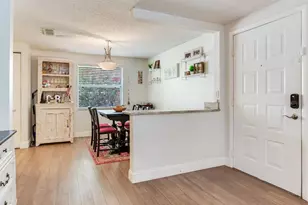 2812 W Shelton Ave, Tampa, FL 33611 - Photo 7