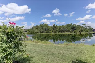 18014 Woodland View Dr, Lutz, FL 33548 - Photo 13