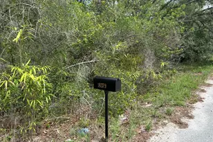 18379 Thomas Blvd, Hudson, FL 34667 - Photo 1