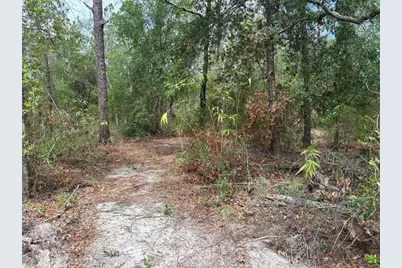 18379 Thomas Boulevard, Hudson, FL 34667 - Photo 3