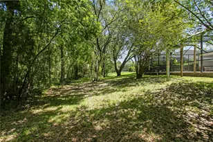 2113 Climbing Ivy Dr, Tampa, FL 33618 - Photo 67