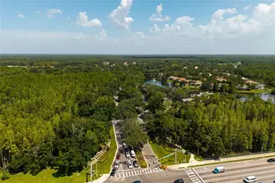 17557 Fairmeadow Dr, Tampa, FL 33647 - Photo 65