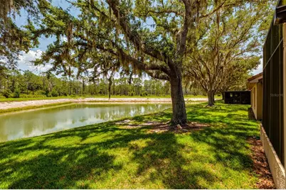 17557 Fairmeadow Drive, Tampa, FL 33647 - Photo 23