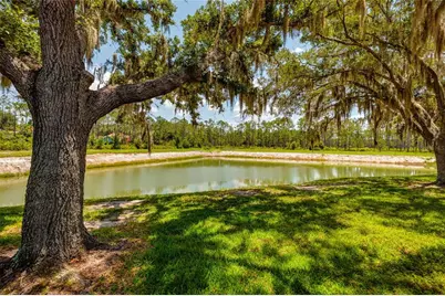 17557 Fairmeadow Drive, Tampa, FL 33647 - Photo 25