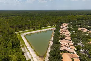 17557 Fairmeadow Dr, Tampa, FL 33647 - Photo 55