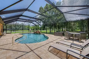 27928 Austin Woods Dr, Dade City, FL 33525 - Photo 37