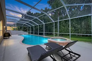 5049 Decidely Ct, Wesley Chapel, FL 33544 - Photo 9