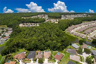5049 Decidely Ct, Wesley Chapel, FL 33544 - Photo 75