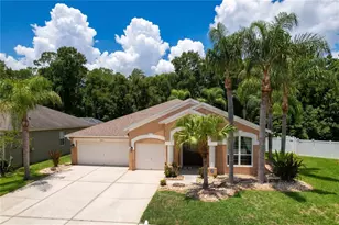 5049 Decidely Ct, Wesley Chapel, FL 33544 - Photo 3