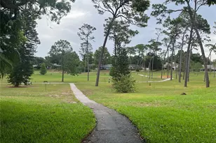 2387 Bentley Dr, Palm Harbor, FL 34684 - Photo 17