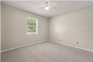 4419 Dolphin Dr, Tampa, FL 33617 - Photo 15