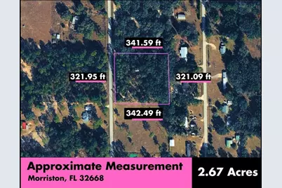 Se 194th Court, Morriston, FL 32668 - Photo 3