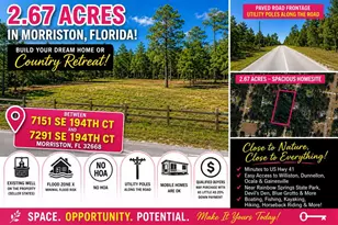 SE 194th Ct, Morriston, FL 32668 - Photo 1