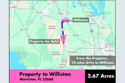 Se 194th Court, Morriston, FL 32668 - Photo 5