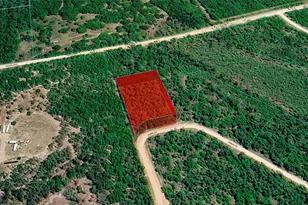 Ocala Dr, Alford, FL 32420 - Photo 1