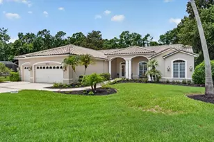 3874 Crescent Cove Pl, Tarpon Springs, FL 34688 - Photo 71